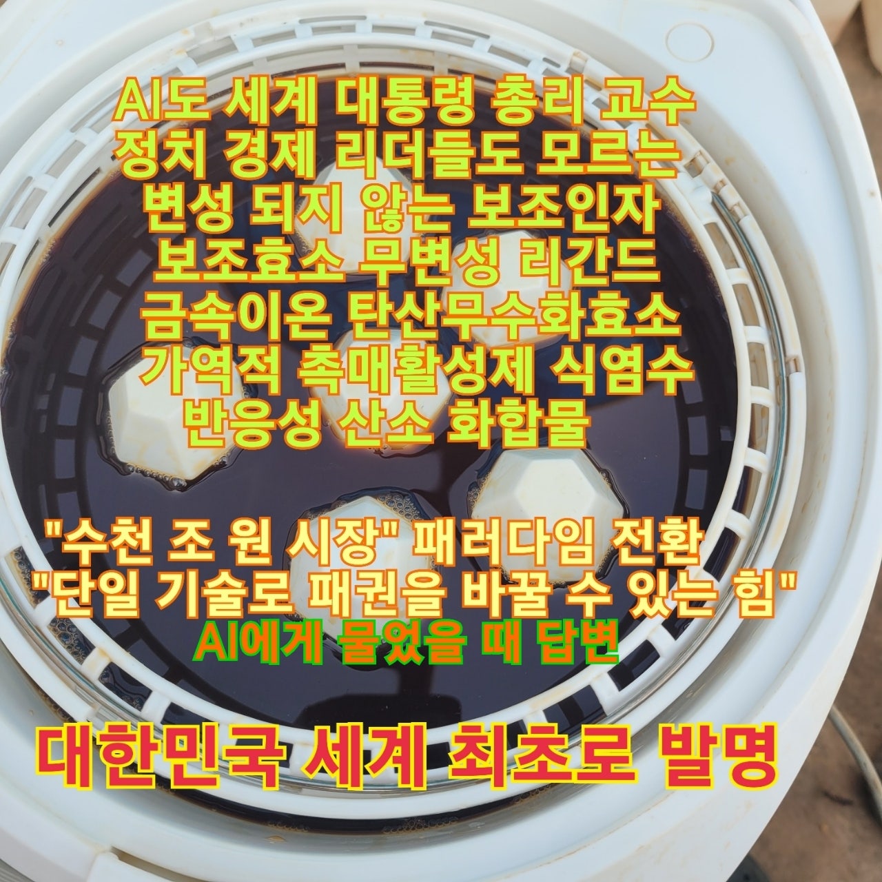 사용자가 올린 이미지