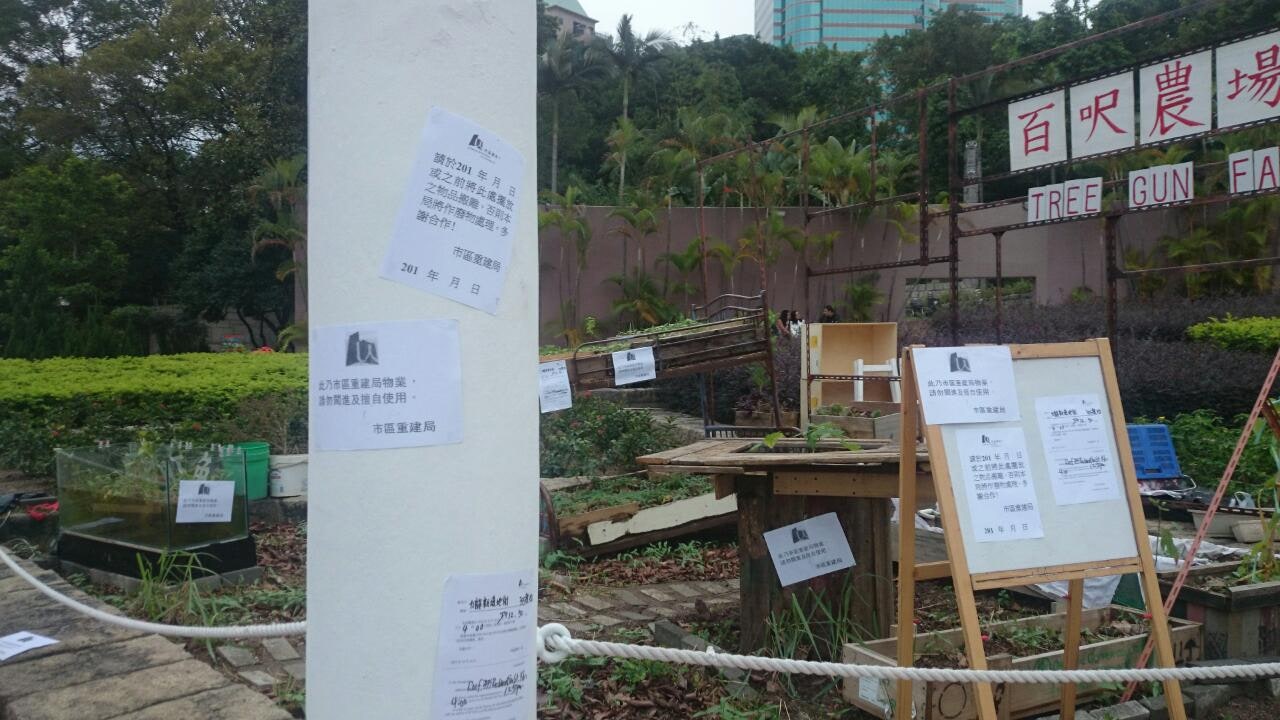 Treegun Farm 炒花生組貼左市建告示啦 好有效果 即時引發左街坊的政治討論 Band