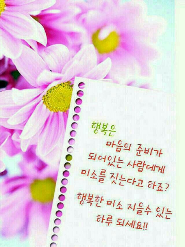 본어게인점핑다이어트 이미지