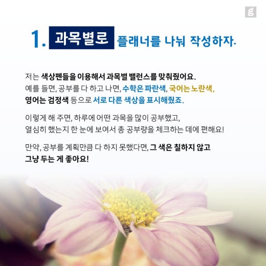 플래너수학학원 이미지