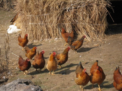 김*학 이미지