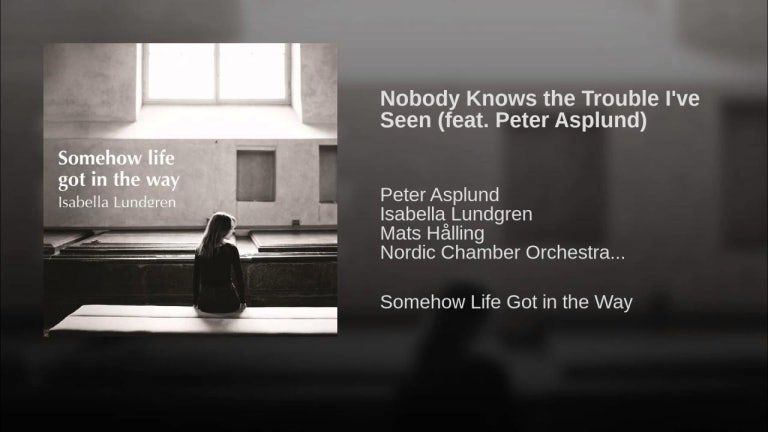 Nobody Knows the Trouble I've Seen (feat. Peter Asplund)