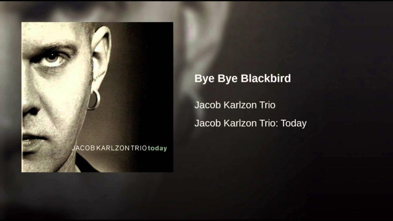 Bye Bye Blackbird