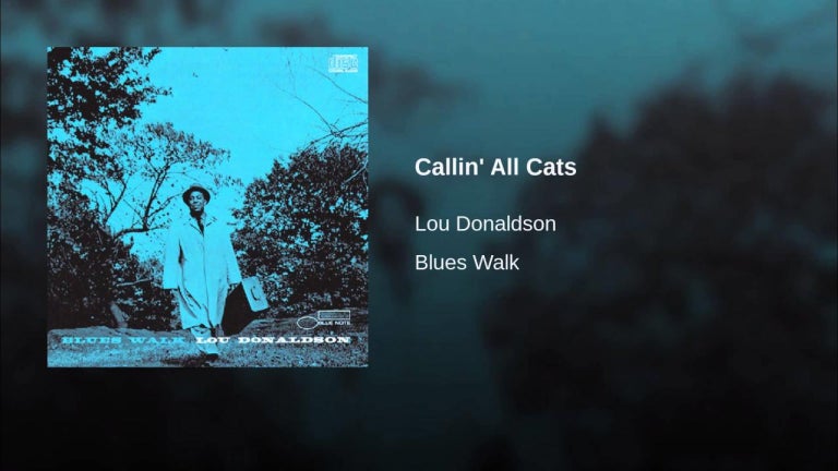 Callin' All Cats