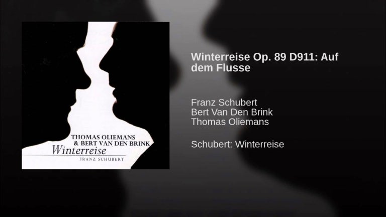 Winterreise Op. 89 D911: Auf dem Flusse (Erste Abteilung)