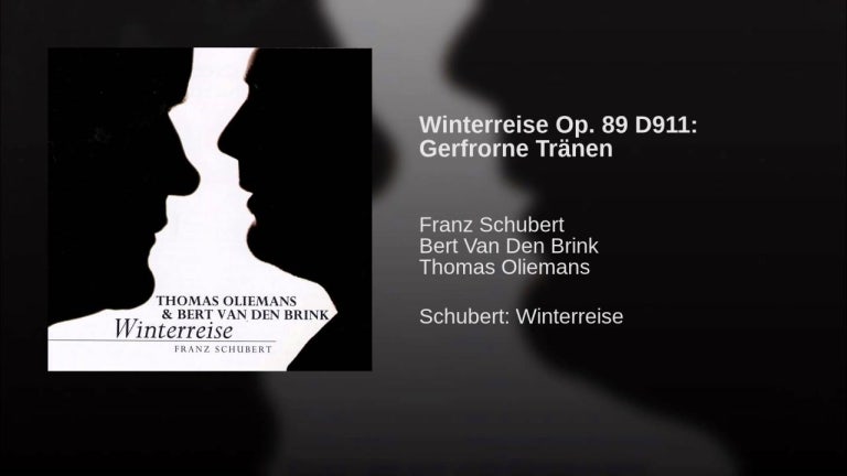 Winterreise Op. 89 D911: Gerfrorne Tränen (Erste Abteilung)