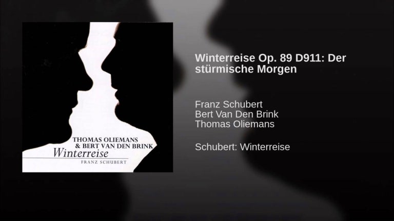 Winterreise Op. 89 D911: Der stürmische Morgen (Zweite Abteilung)