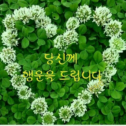 만남 이미지