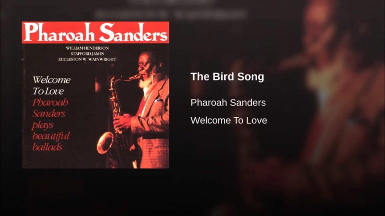 The Bird Song