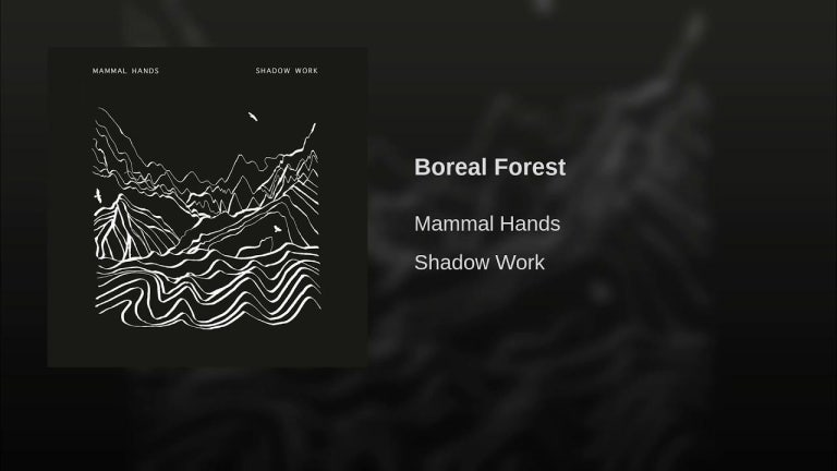 Boreal Forest