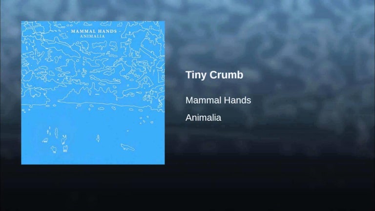 Tiny Crumb