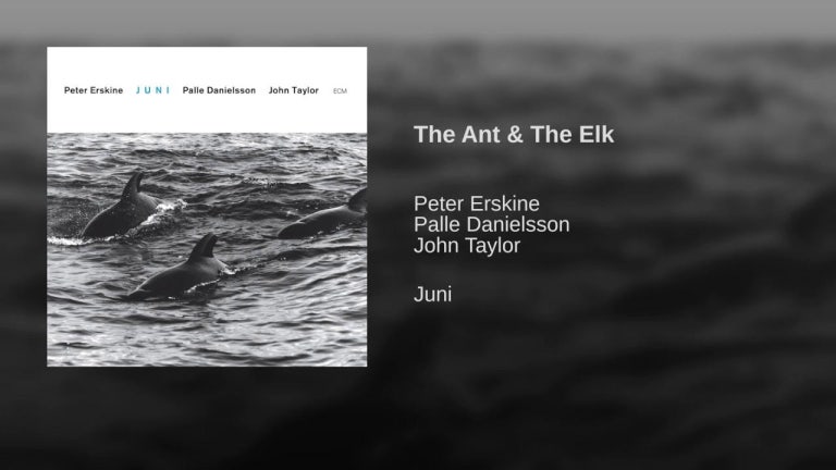 The Ant & The Elk