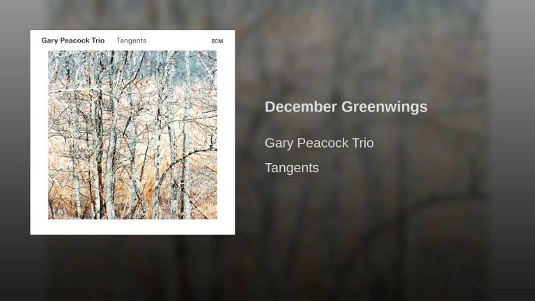 December Greenwings