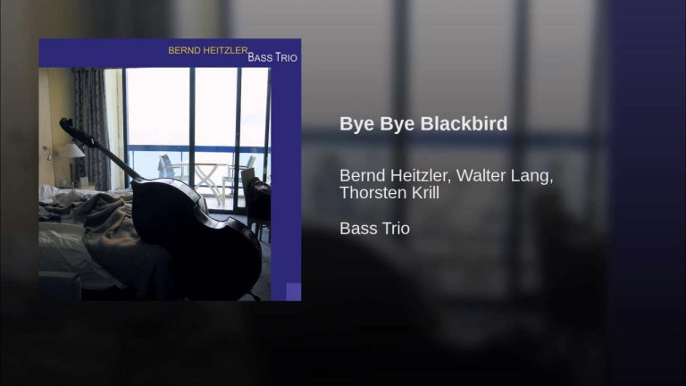 Bye Bye Blackbird