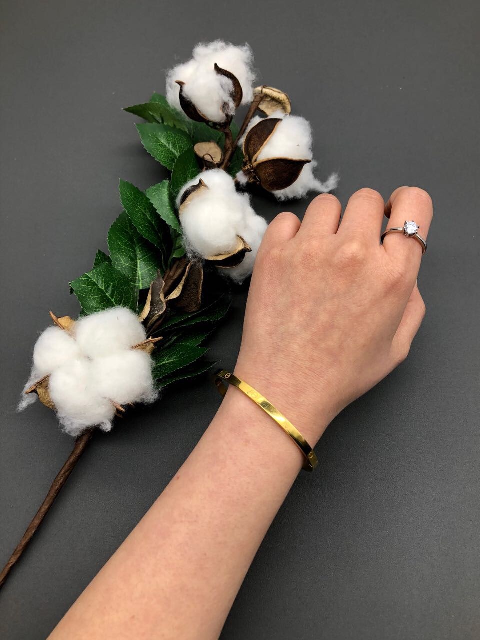 1_c21Ud018svcp46bx48fjz9n_iyptg.jpg 1_c21Ud018svcp46bx48fjz9n_iyptg.jpg