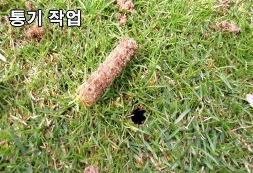 그린그린한오후 이미지