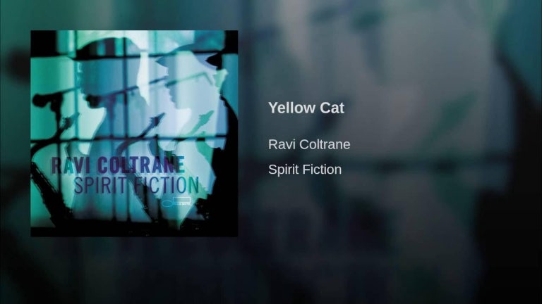 Yellow Cat