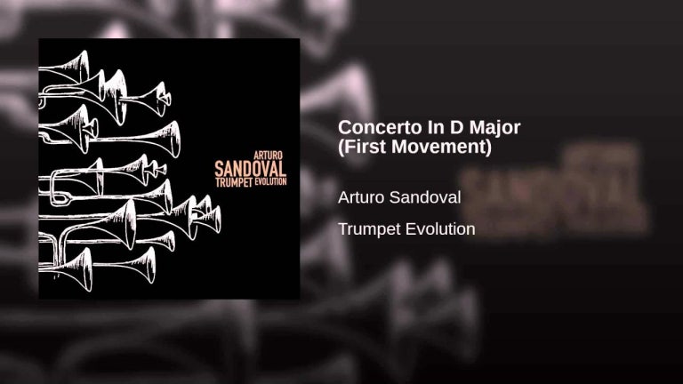 Concerto In D Major (First Movement)
