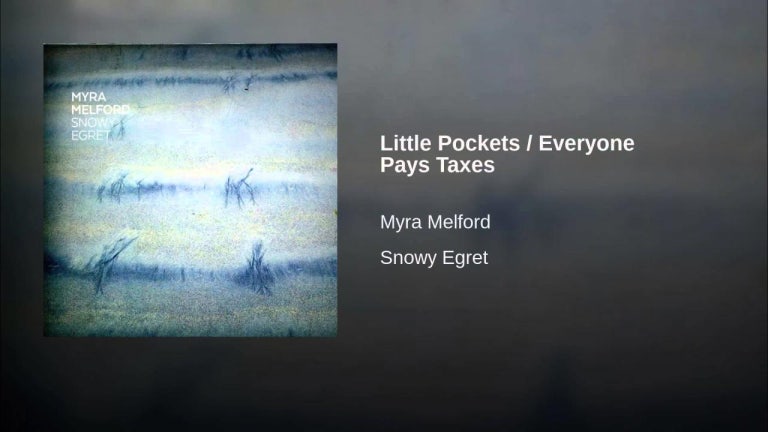 Little Pockets / Everyone Pays Taxes