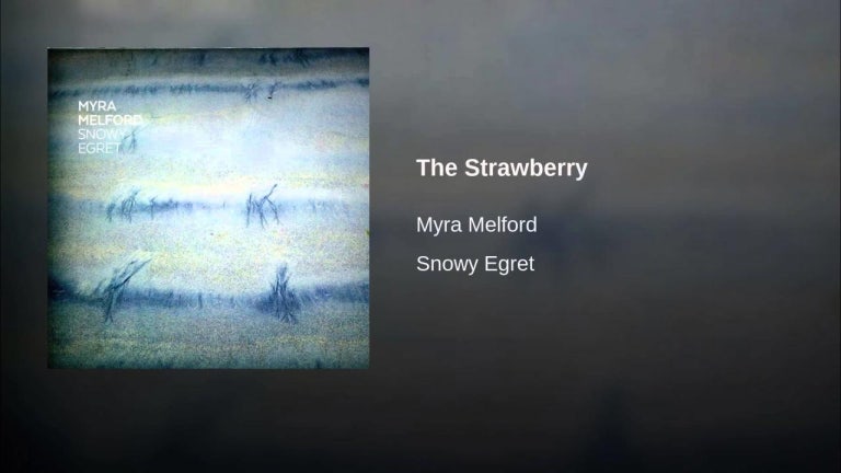 The Strawberry