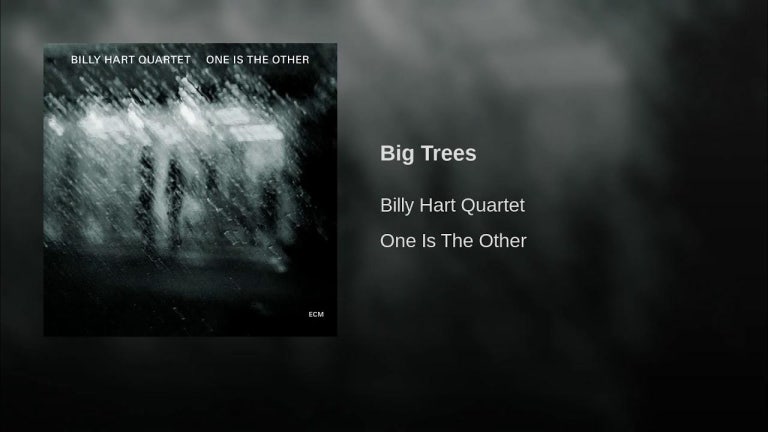 Big Trees