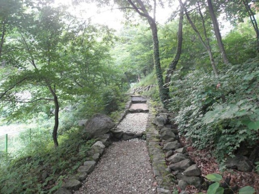민주지산자연휴양림 이미지