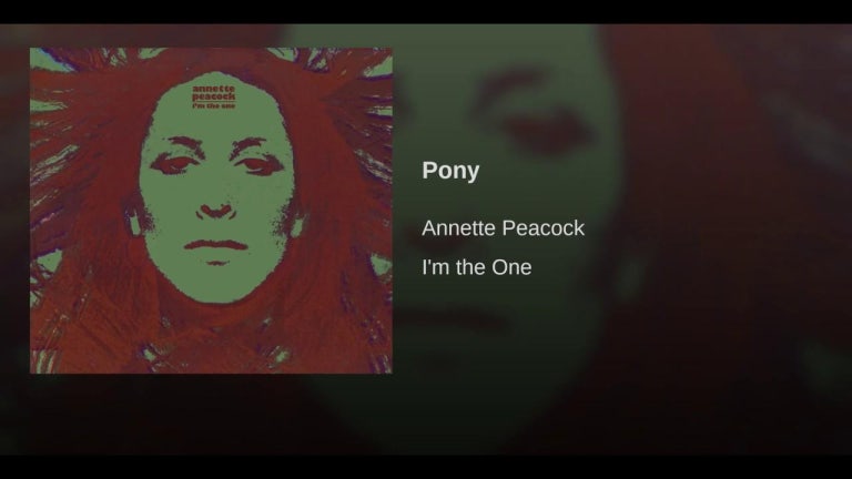 Pony