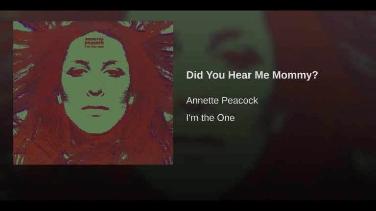 Did You Hear Me Mommy?