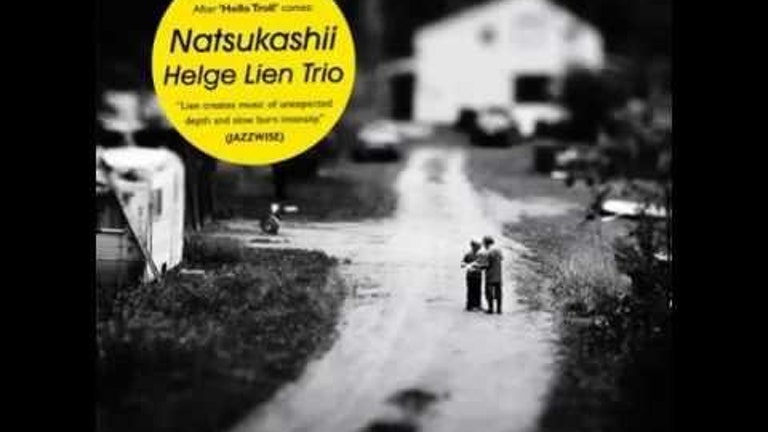 Helge Lien Trio - Meles Meles