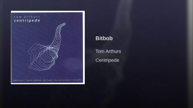 Bitbob