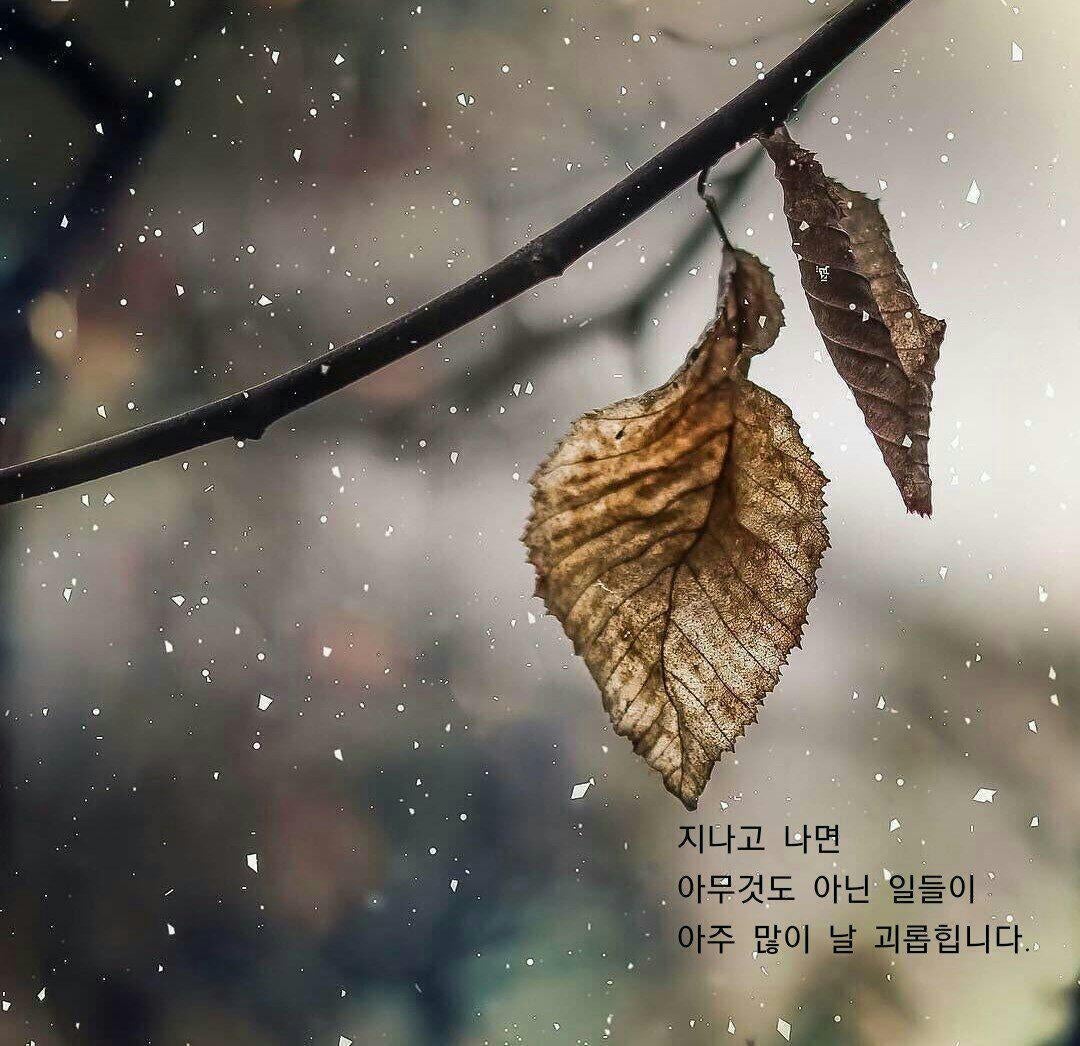 사용자가 올린 이미지
