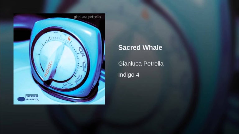 Sacred Whale