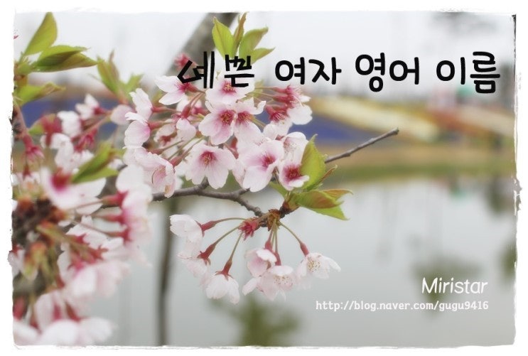 정보 data | BAND 정보 Data | Band