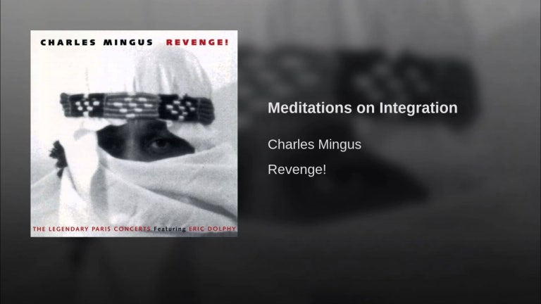 Meditations on Integration