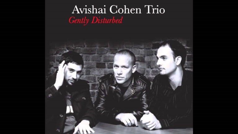 Avishai Cohen - Eleven Wives