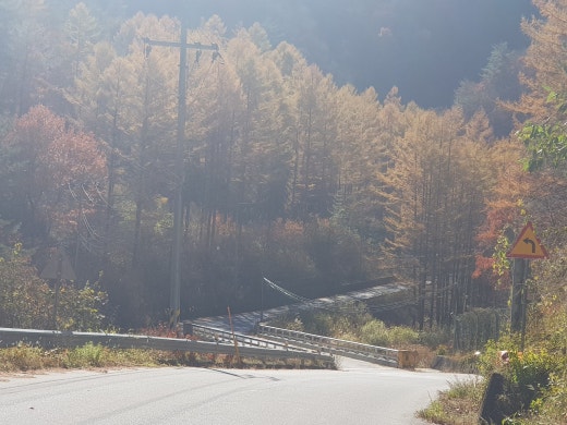 써니투어 이미지