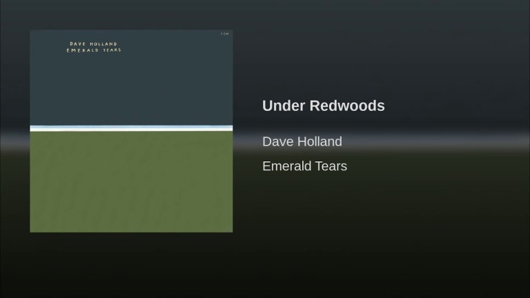 Under Redwoods