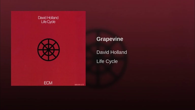 Grapevine