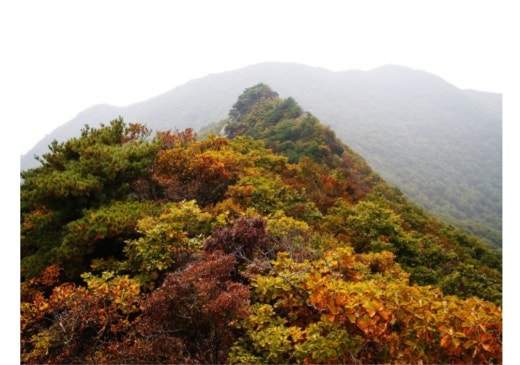 동천주유소 이미지