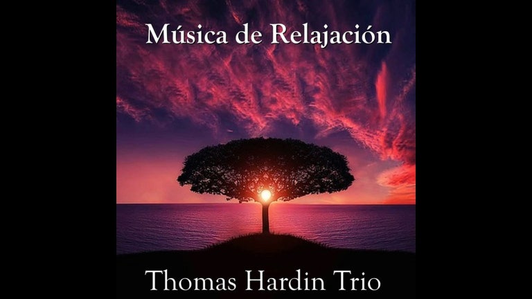 02 Thomas Hardin Trio - Prelude, Op. 28, No. 15 - Música de Relajación