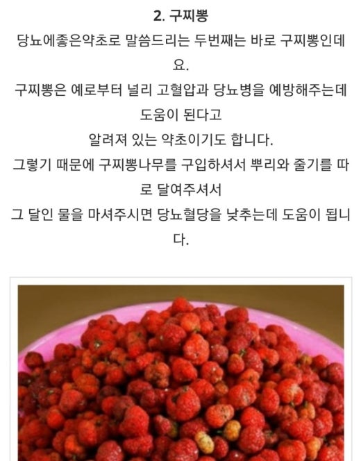 약초공부방 | BAND 약초공부방 | Band