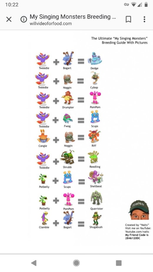 pachira money tree care instructions Buy Money Tree Braided - Good Luck Tree main image 1