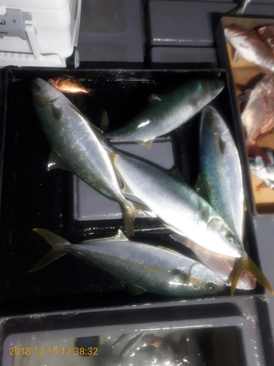 7_bafUd018svcwfhqj7vff4ry_lkf992.jpg?type=e1920