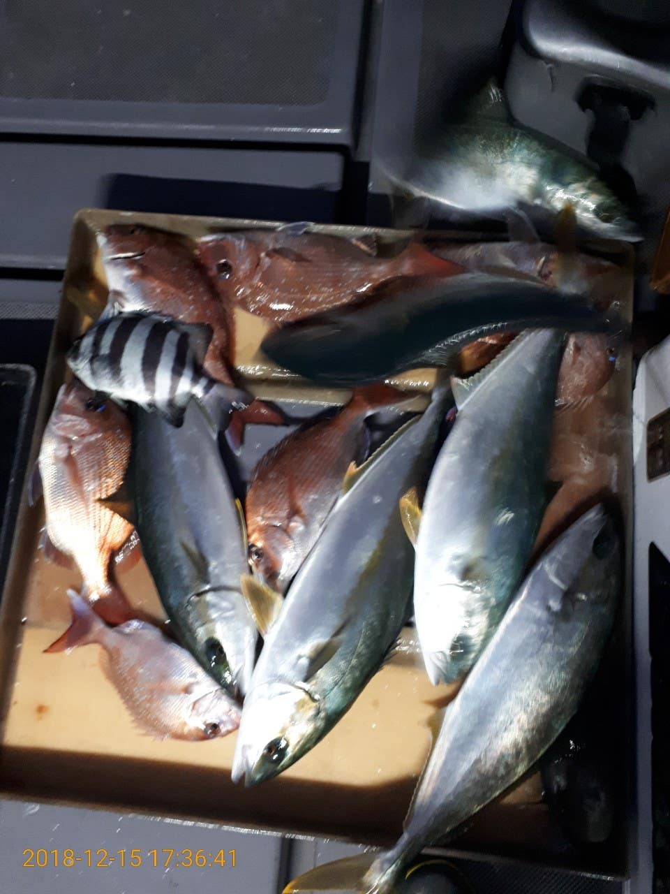 7_9afUd018svcnlh7ws0046mm_lkf992.jpg?type=e1920