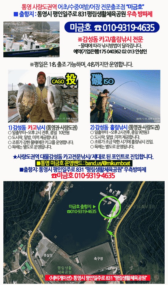 (南)남해조황 - 사량도 대물감성돔 카고낚시~3방의 촣소리~감성돔 조황