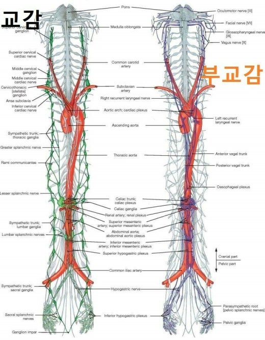 암도 이겨내는 사람들 | Band