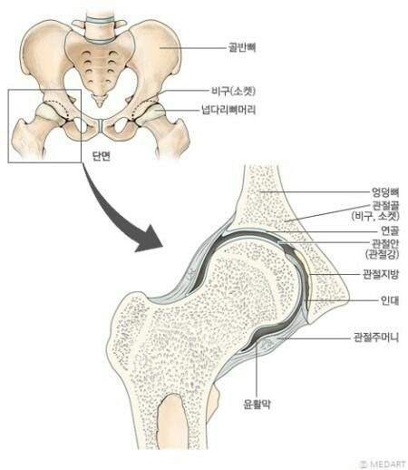 공부하는 스포츠지도자 모임(전국 스터디모임) | BAND 공부하는 스포츠지도자 모임(전국 스터디모임) | Band