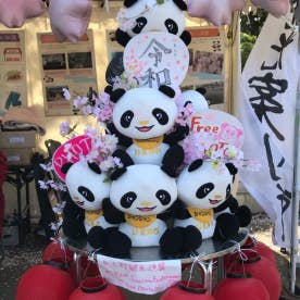 パンダフルライフ 大熊猫的生活 Band