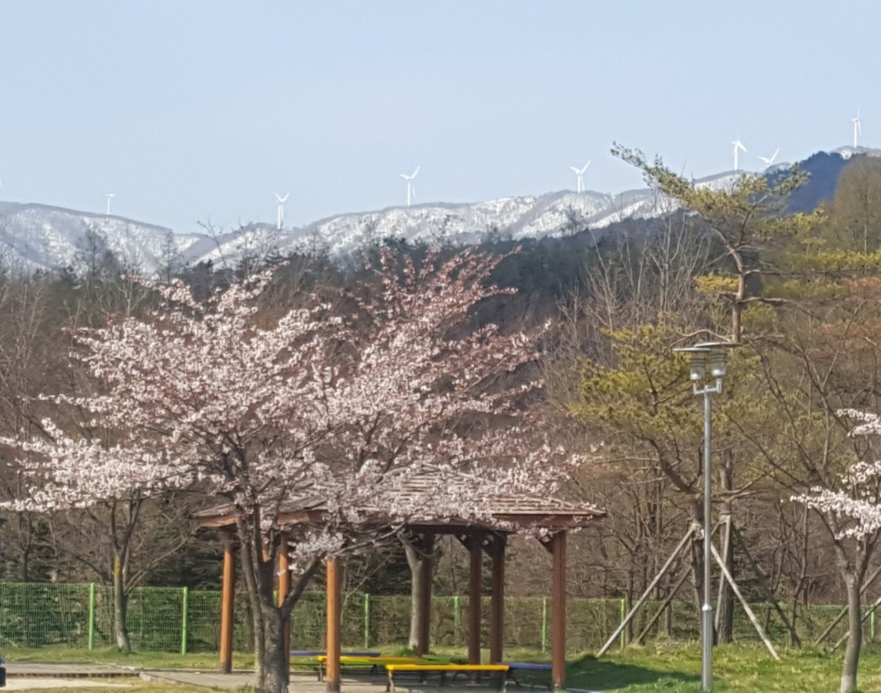 짬순네 이미지