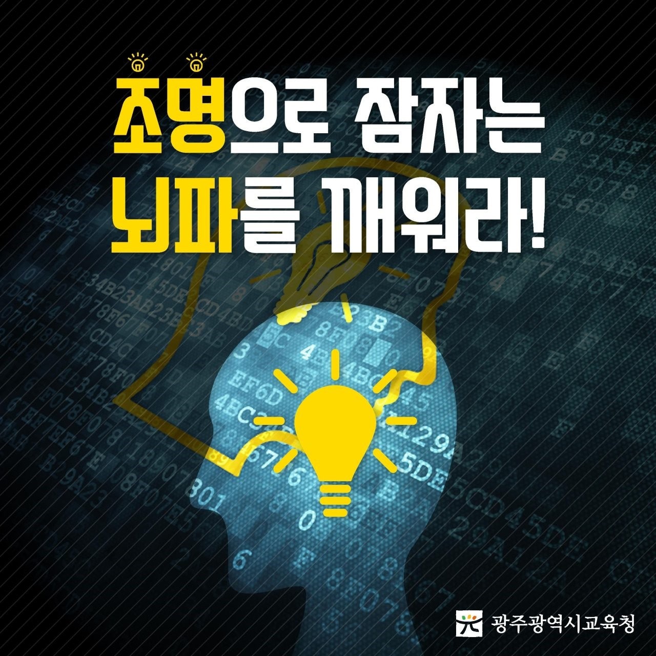 케이조명 이미지